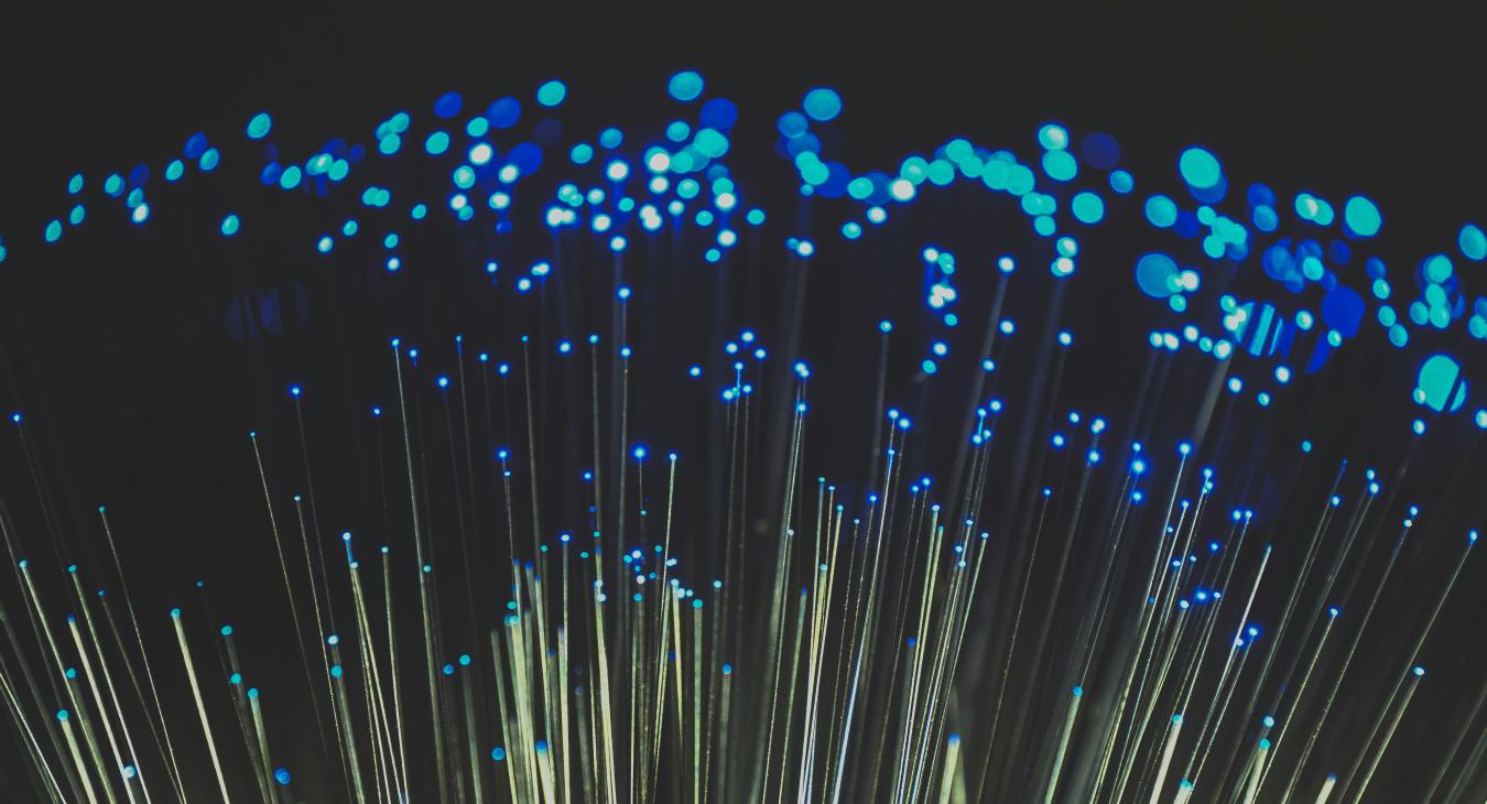 Fiber